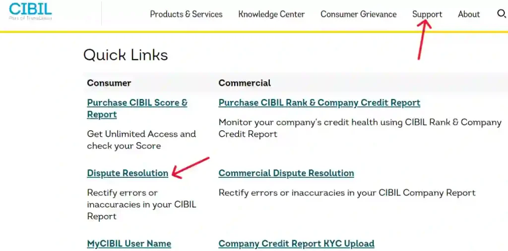 CIBIL-Dispute-Resolution
