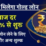 Gold Loan: अब घर बैठे गोल्ड लोन लें आसानी से, IIFL दे रहा ये खास सुविधा